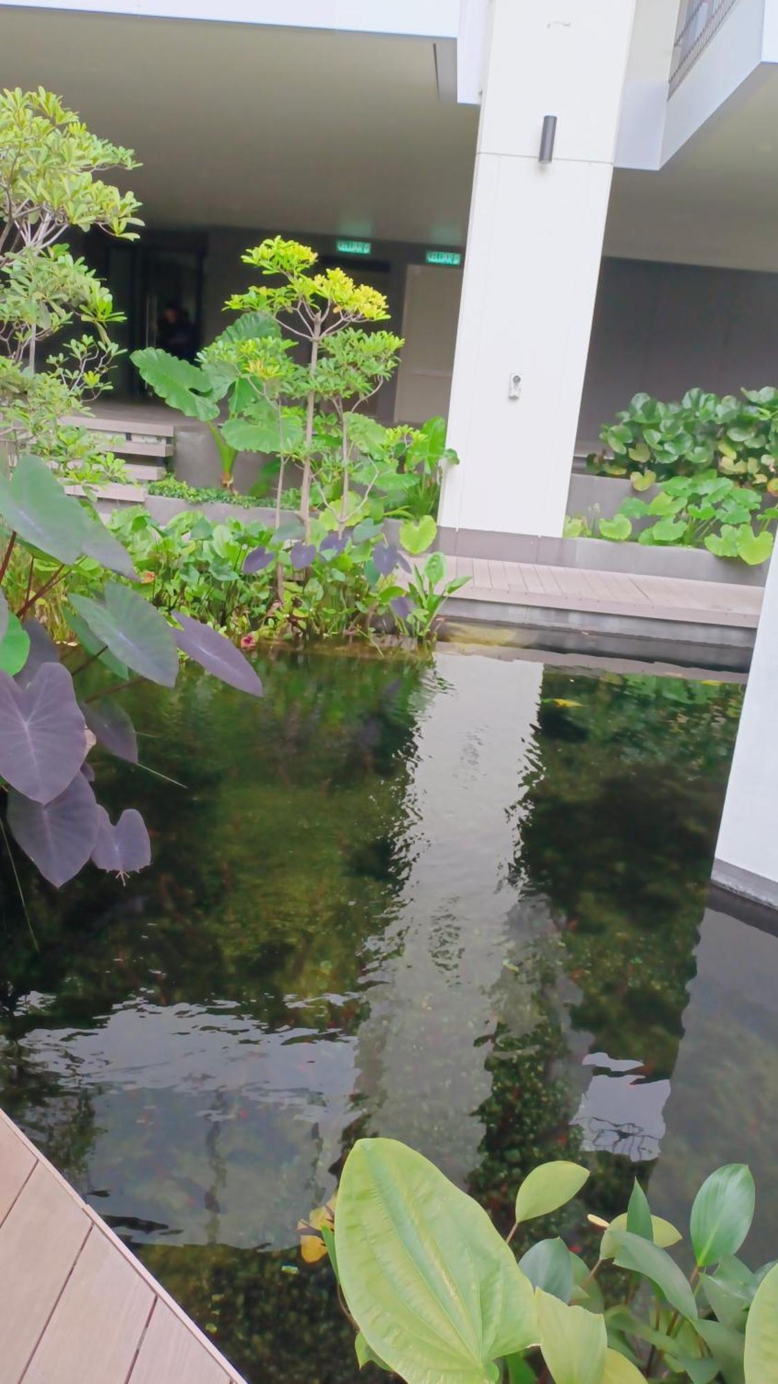 Lucantia Serviced Suites Kuala Lumpur Exteriör bild